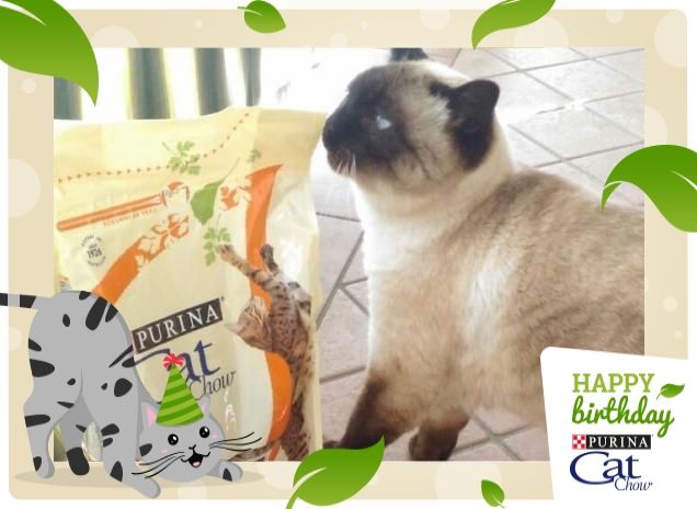 Buon Compleanno CatChow