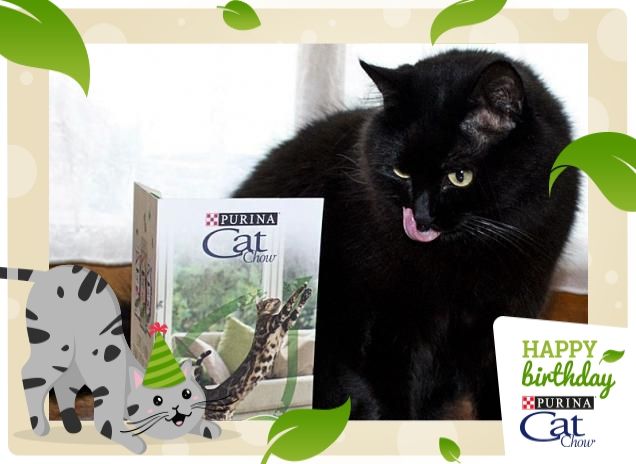 Buon Compleanno CatChow