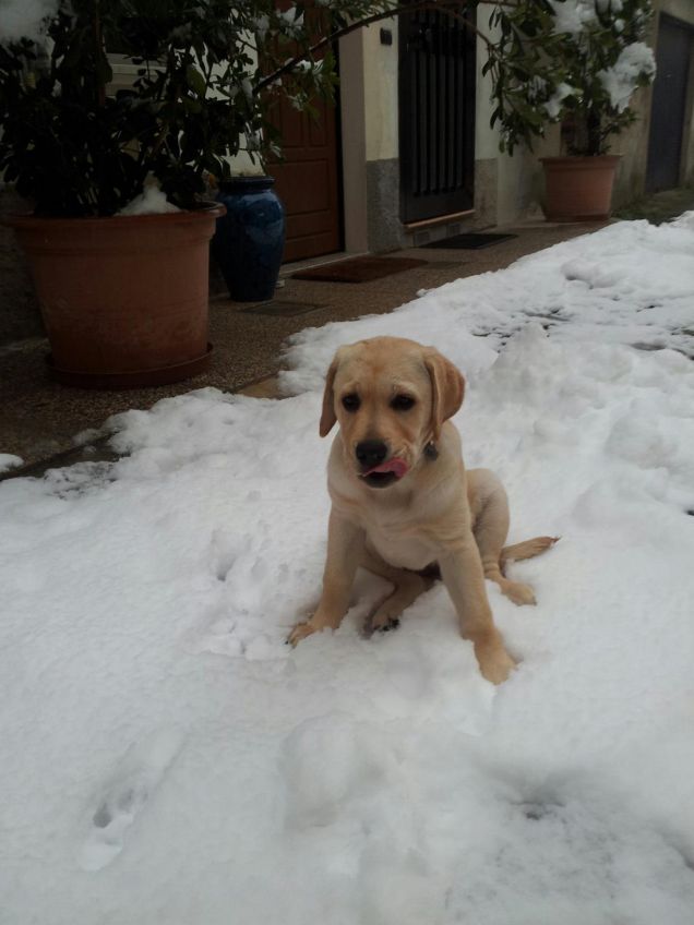 Aysha e la sua prima neve