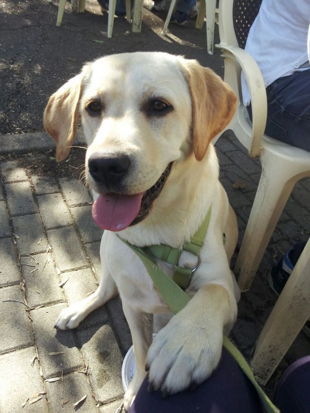 Me ne dai un pezzetto?