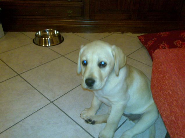 Primo giorno con Aysha