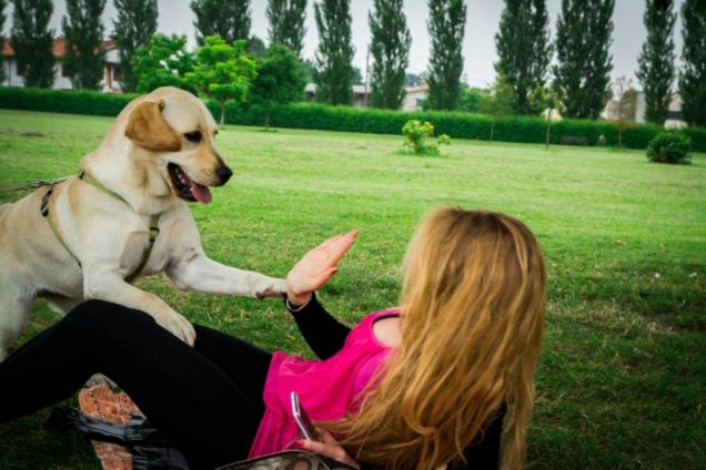 Abbraccio a tradimento!