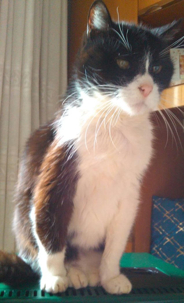 20 anni e non sentirli 