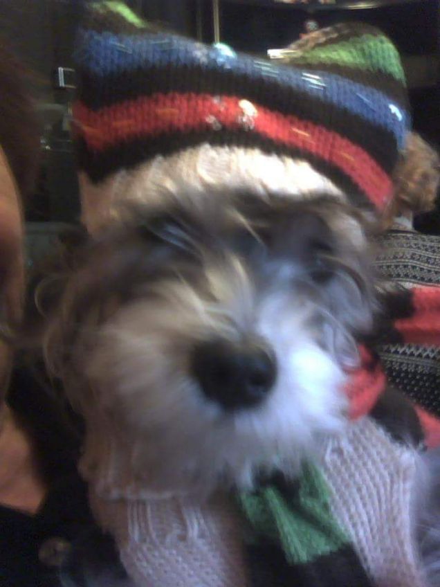 Io e te oltre la vita