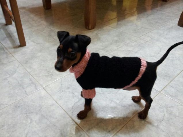 Ted augura a tutti Buon Natale 