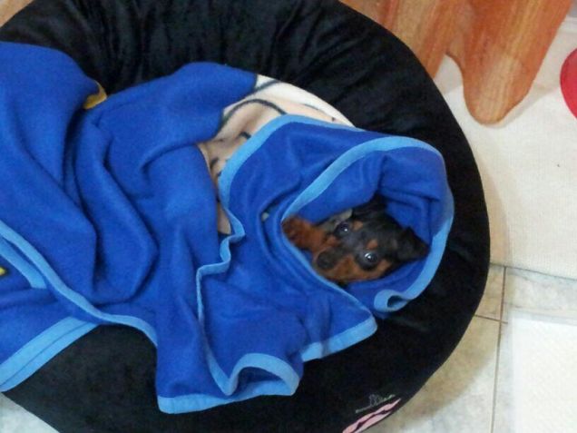 Appena arrivato a casa...