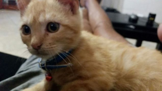 Spritz e' andato via..