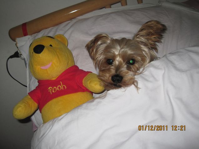  sole il suo amichetto