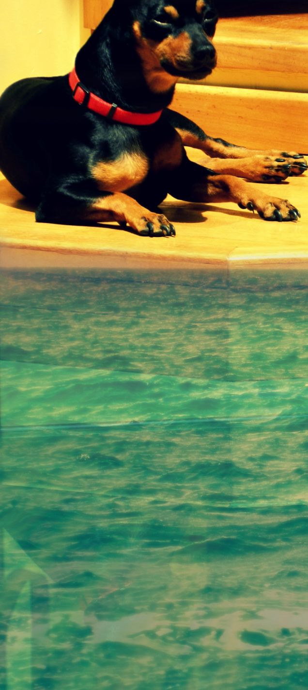 guardia alla piscina 