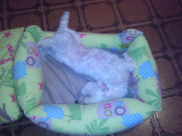 Non ho il torcicollo!