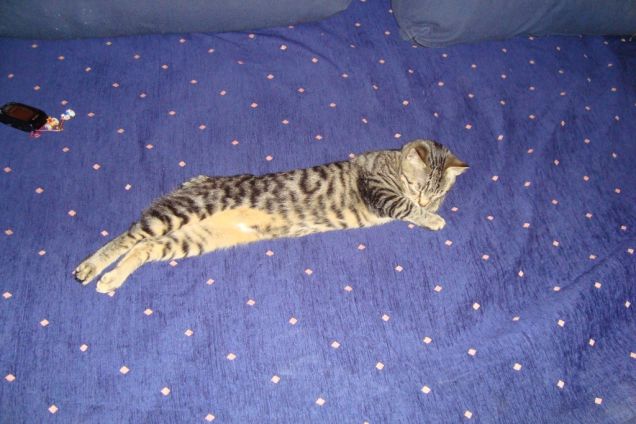 il divano è tutto per me