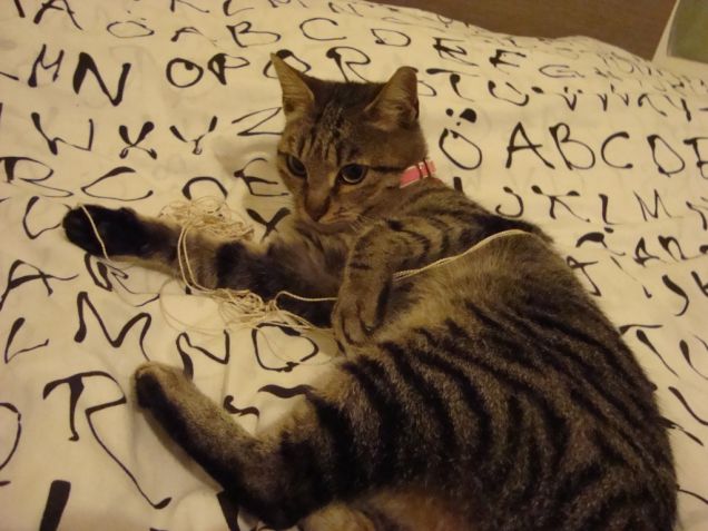 giocando con lo spago