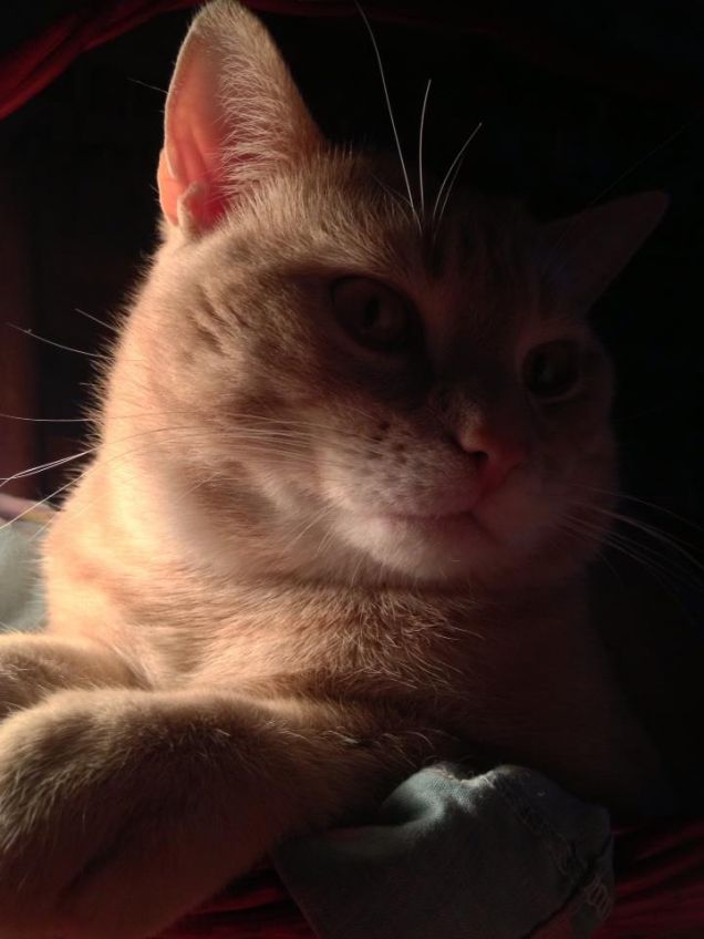 riflessioni notturne