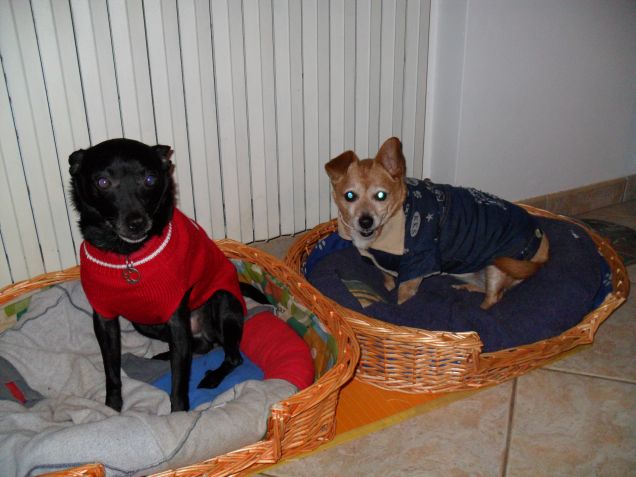 iris con un amichetto