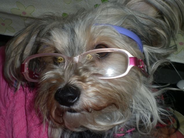 la mia cucciola intelligente.............