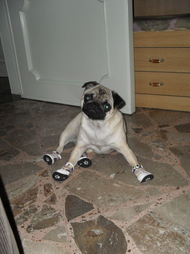 Questa corsa mi distrugge!!!