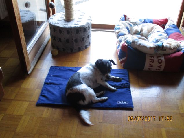 Bea sul vostro tappetino