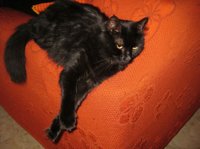 La Principessa Arimi