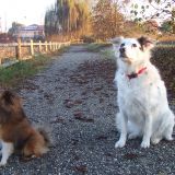 le  nostre belle giornarte passate assieme a Lilly