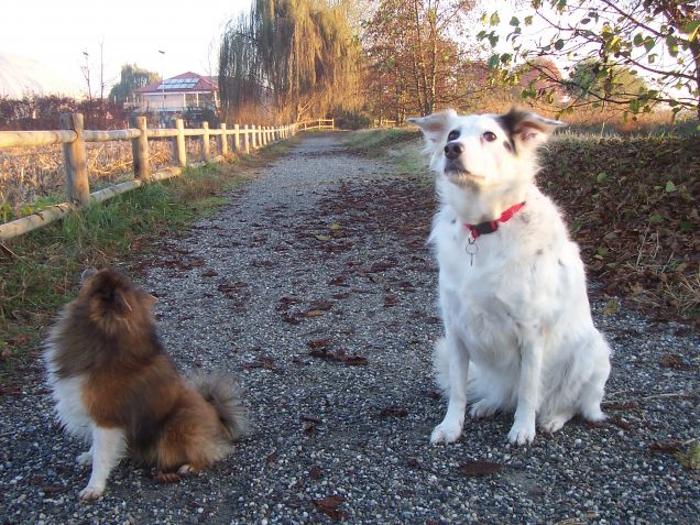 lilly con il suo amico fiocco