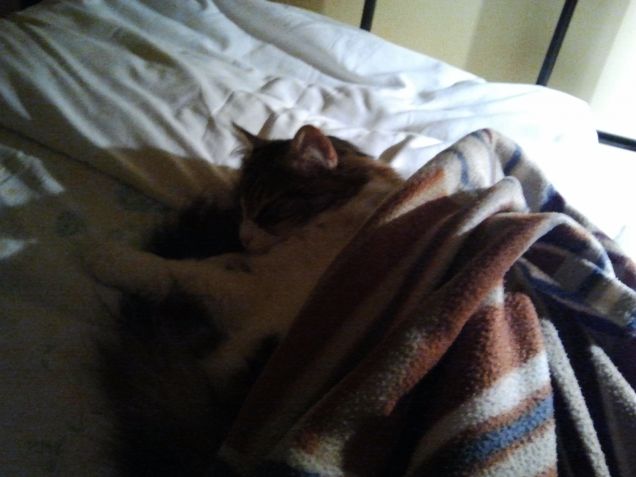 cucci è molto viziata