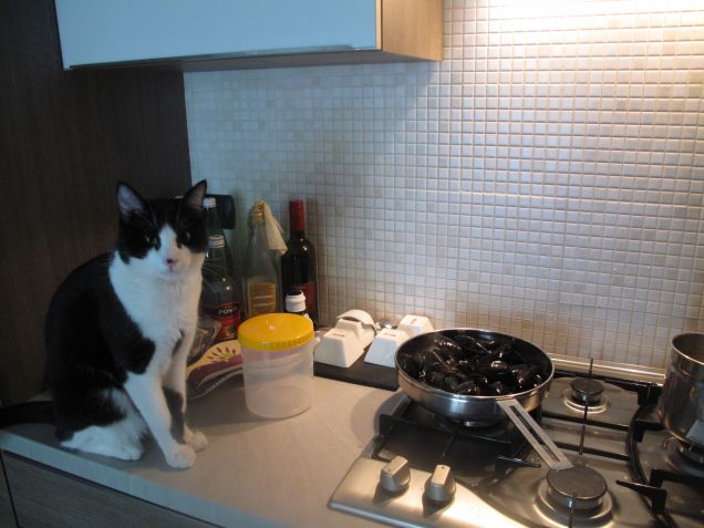 Oliver in cucina