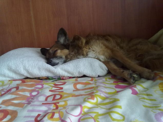 che giornata.sono proprio stanco!!