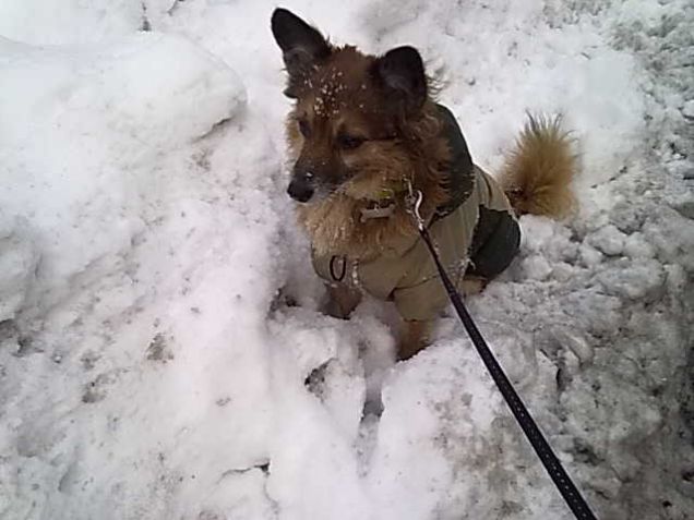 Da qui non mi muovo.