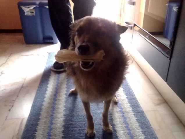 questo osso l'ho trovato io..