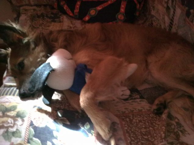 lui è il mio migliore amico