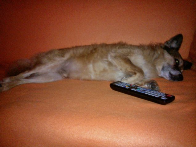 GUARDO UN PO DI TV...