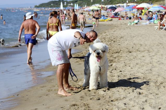 VACANZA ALLA DOG BEACH