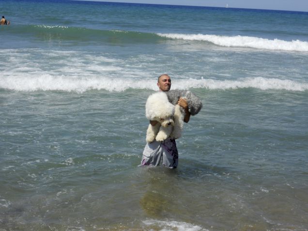 ACQUA??? PER FORZA??? 