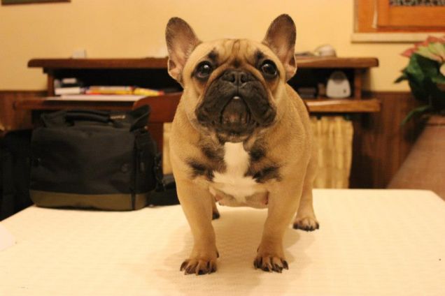 La mia piccola bambina 