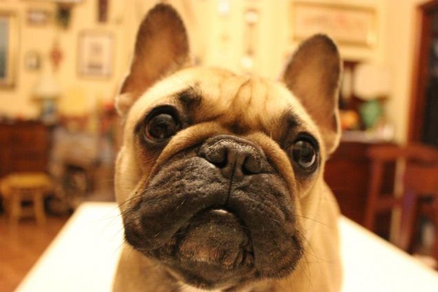 Wow quanto interesse per l'obbiettivo!