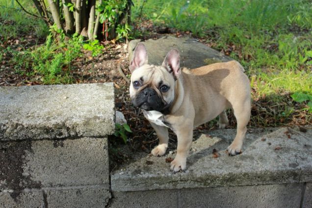 Un pò  d'aria fresca :)