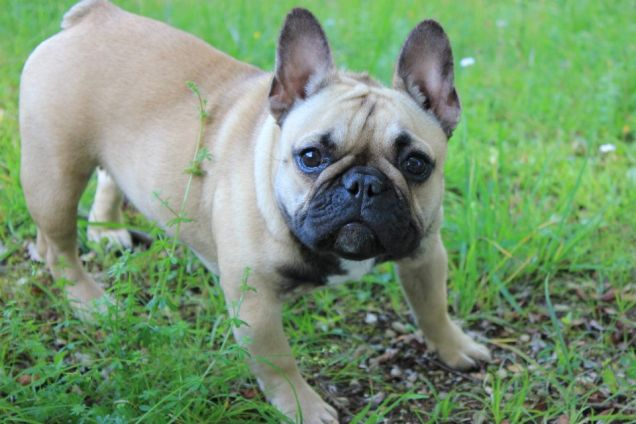 In bilico sulla collinetta povera cagnetta mia... XD 