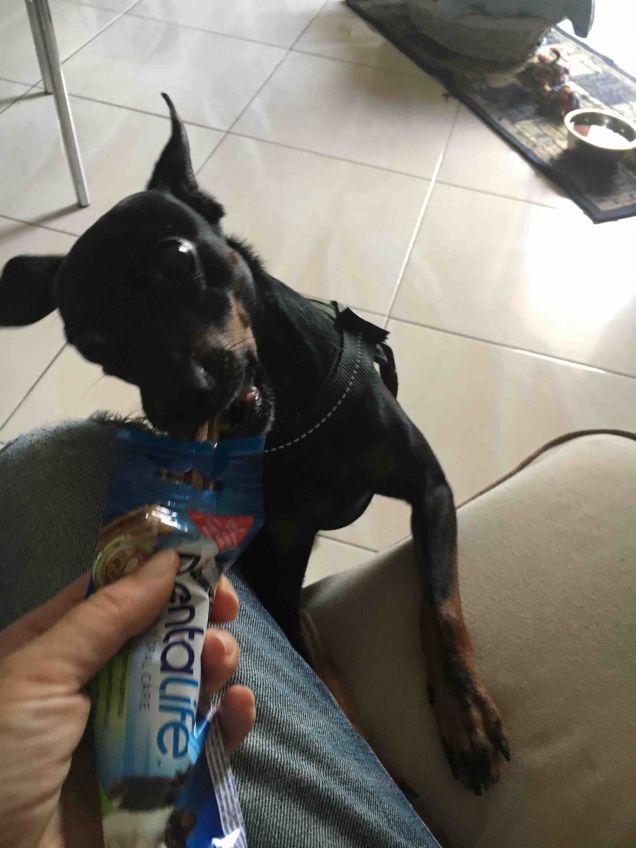 Vittoriauauauauauuauau !!!!