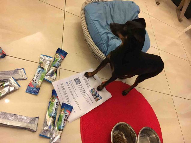 Ok, ho letto tutto e sono stato bravo...