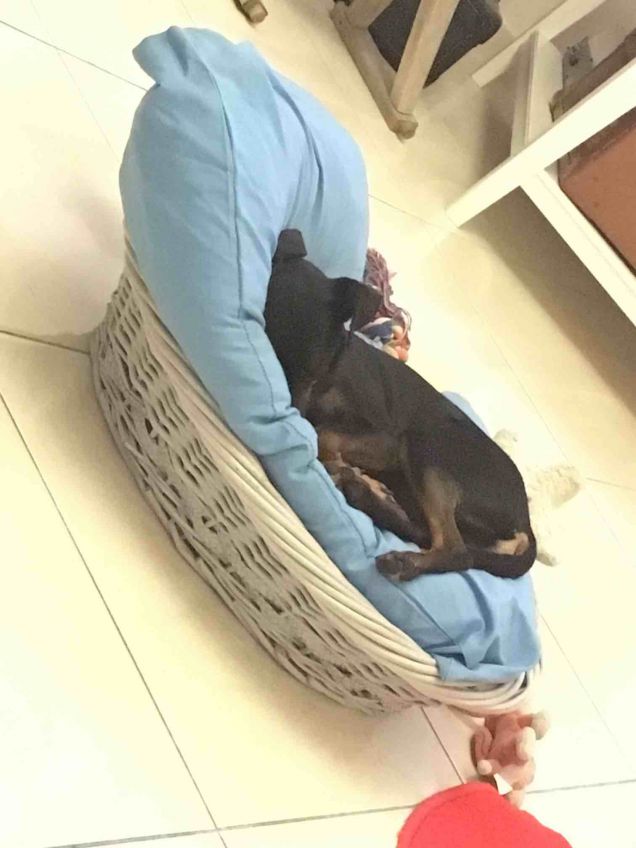 Adesso riposo, scartare un pacco sorpresa mi ha affaticato :-D