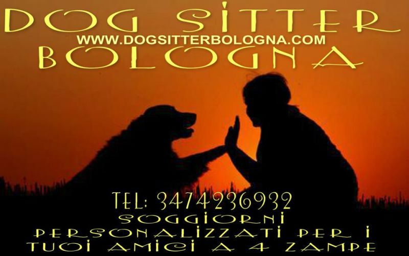 Dog & cat  sitter  Bologna