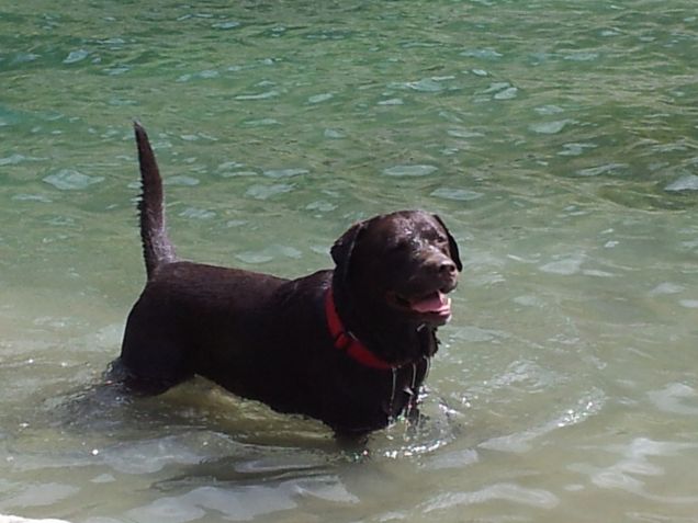 ..... e ancora Acqua!!!!