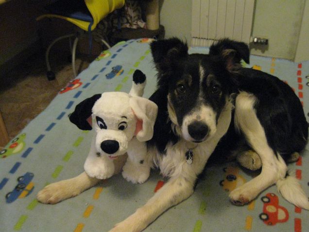 Billo&Macchia