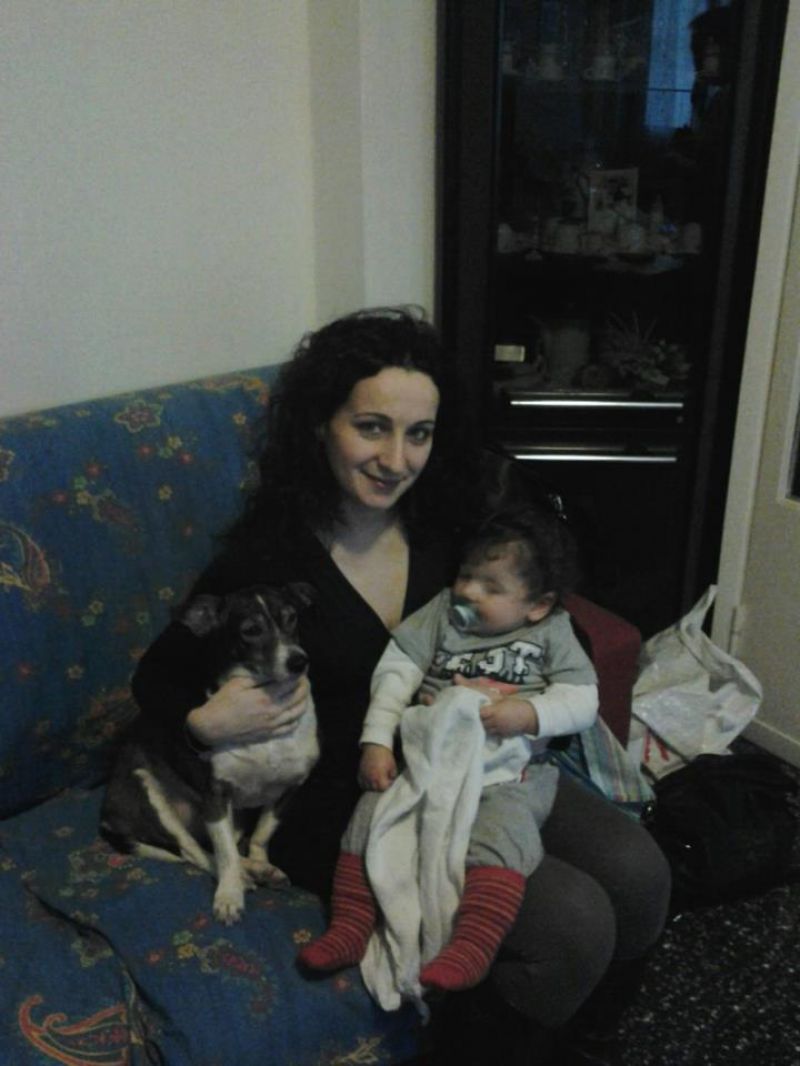 regalo incrocio jack russell/pincer