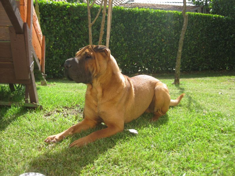 Fidel cerca fidanzata