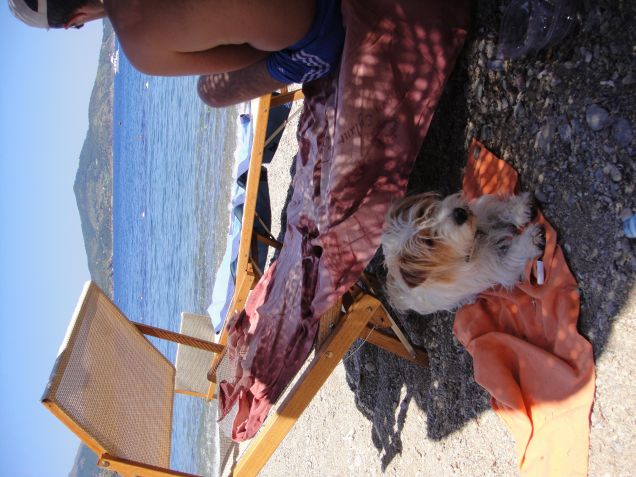 all'ombra sul mio telo