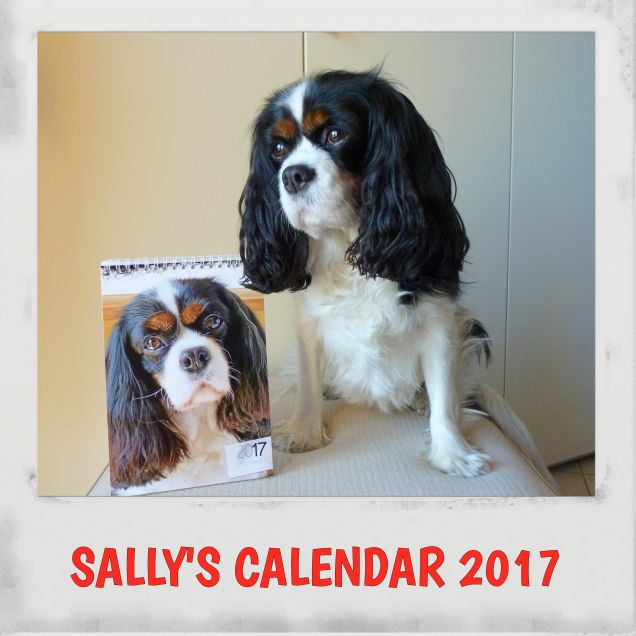 Calendario Sally 2017