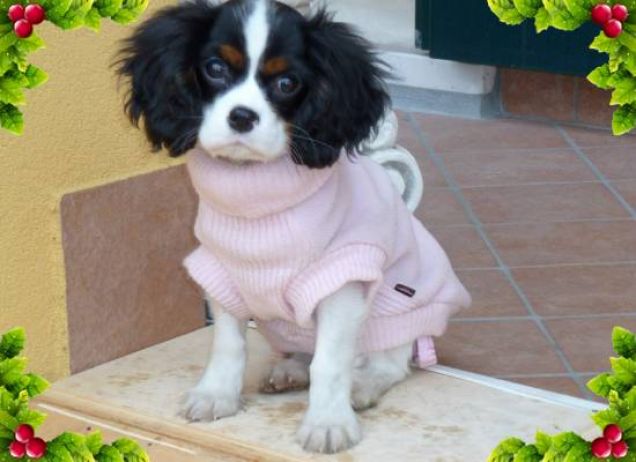 morbido & caldo Natale