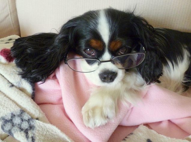 Sally 'old teacher' :)