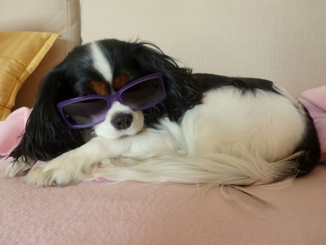 Sally con gli occhiali da sole :)